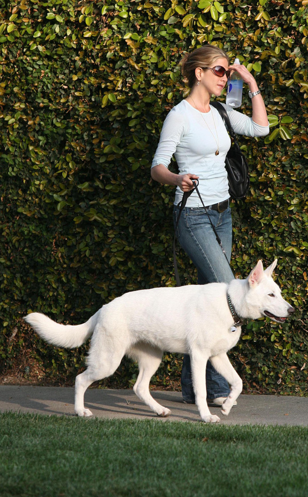 Why Jennifer Aniston & Justin Theroux Are Mourning Their Dog Together