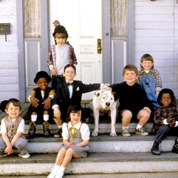 what kind of dog was in the original little rascals
