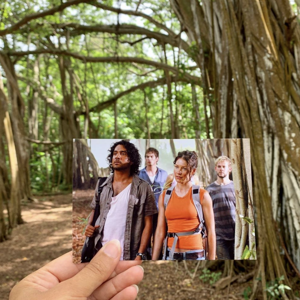 Andrea David, Filmtourismus