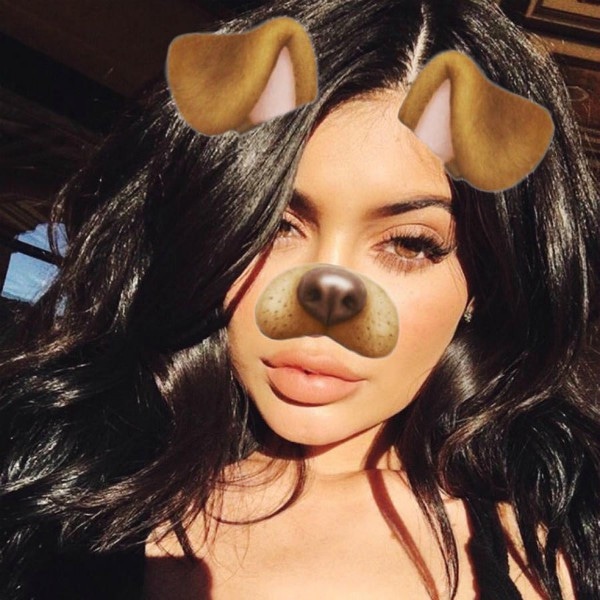 Filtro de cachorro