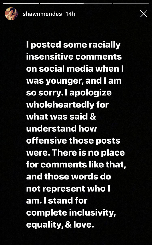 Shawn Mendes Apologizes For Past Racially Insensitive Comments E Online