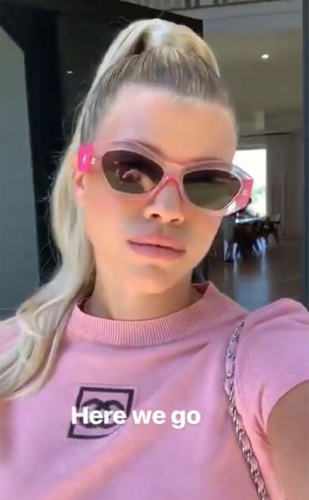 Pretty In Pink From Sofia Richie S 21st Birthday Party With Scott Disick And Kylie Jenner E News