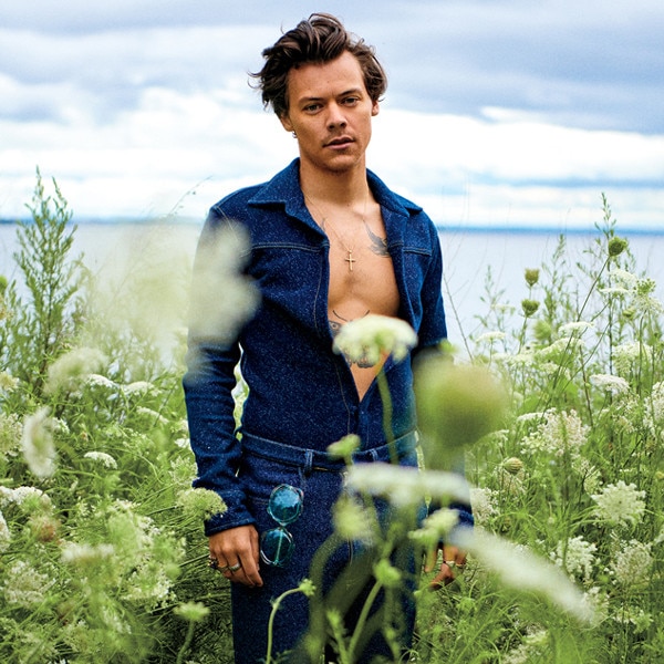 download harry styles rolling stone 2022