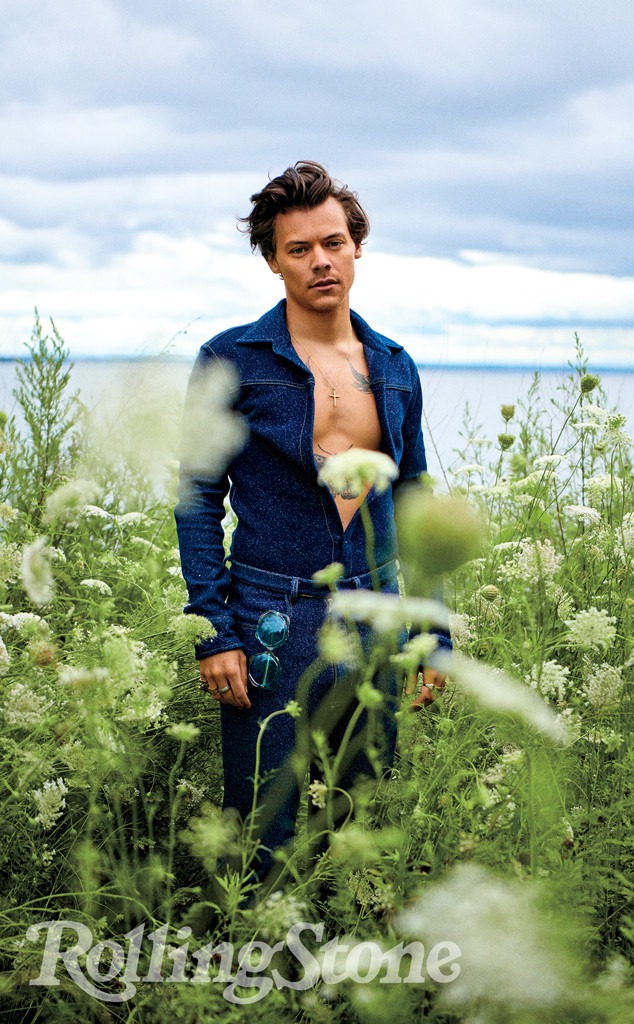 Harry Styles, Rolling Stone