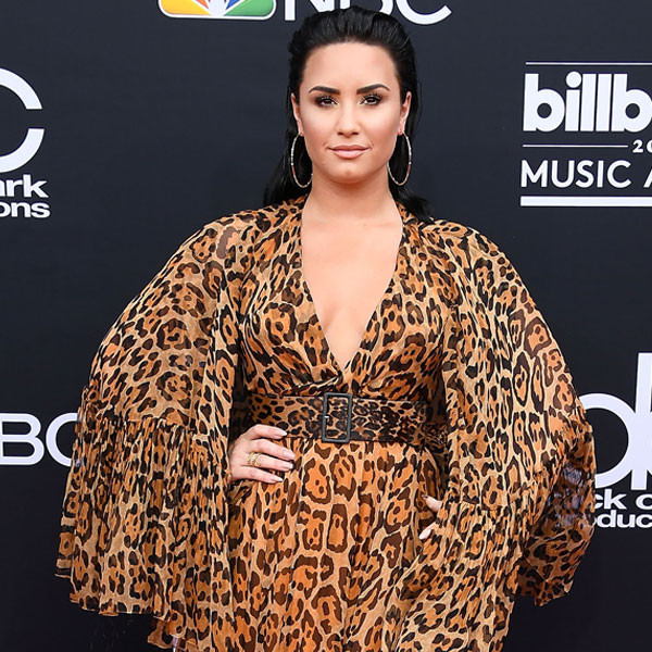 Demi Lovato's Postmates Receipt Proves Her Dogs Live Like True Royalty ...