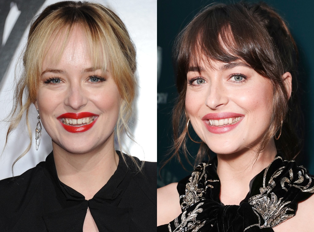 Dakota Johnson Asks For Privacy After Tragic Loss of Her Gap Tooth