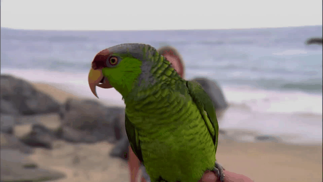 Bachelor In Paradise Is Going Badly For Everyone On Episode