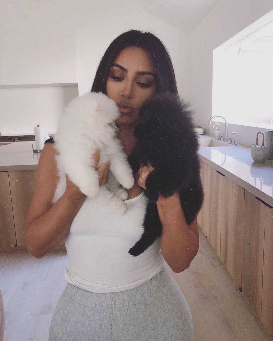 Kim Kardashian, Pets