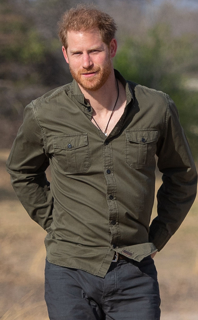 Prince Harry Says Botswana Was His Escape After Princess ...