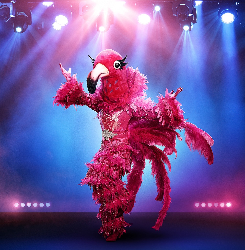 Flamingo from Meet the Cast of The Masked Singer Season 2 | E! News