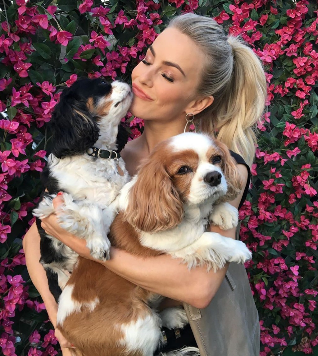 Julianne Hough, Dogs