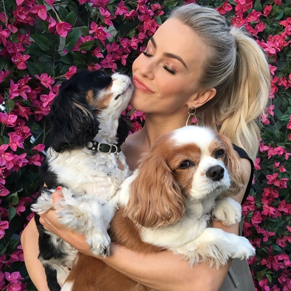 king charles with his dogs