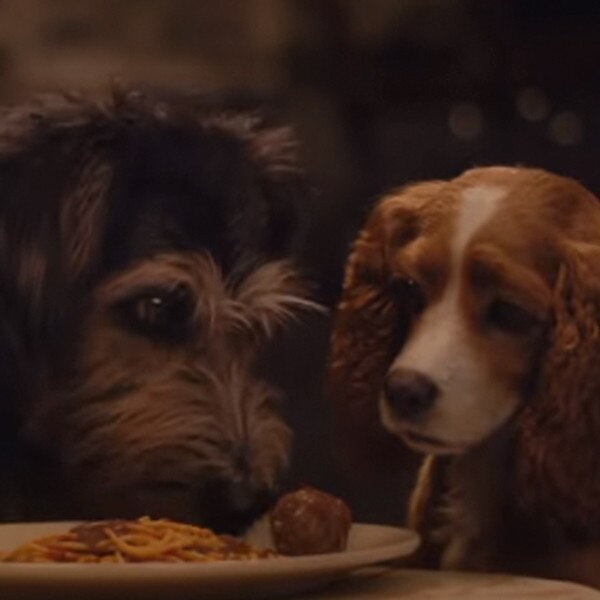 Relive Lady and the Tramp s Adorable Spaghetti Scene in Trailer