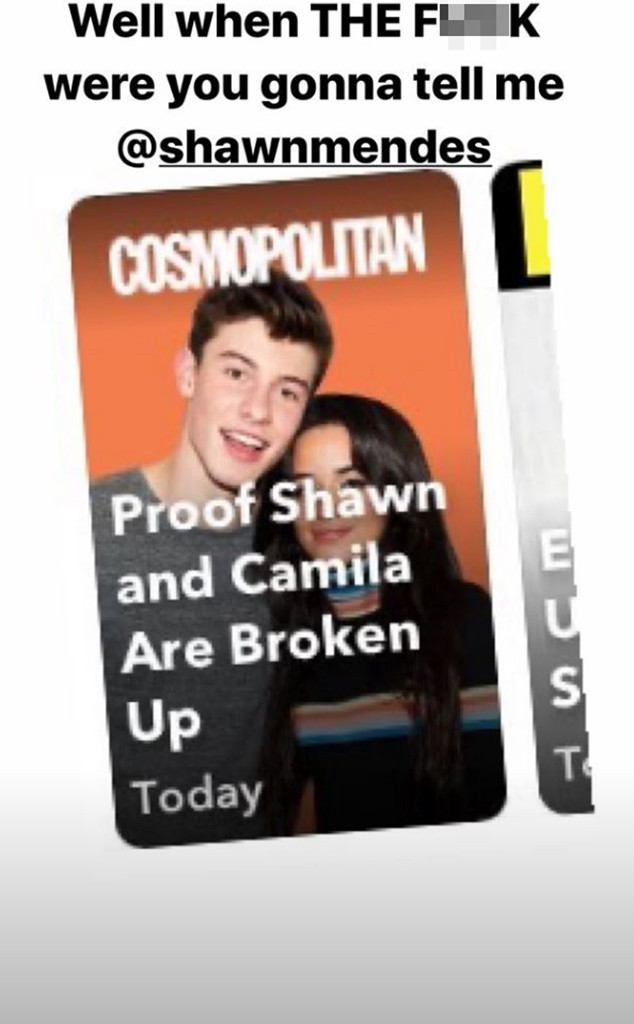 Camila Cabello Laughs Off Shawn Mendes Breakup Rumors E Online