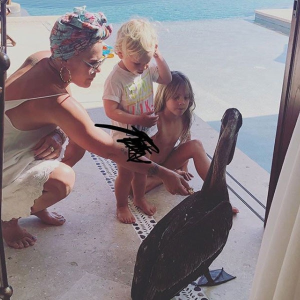 Pink, Tour, Family Moments, Instagram