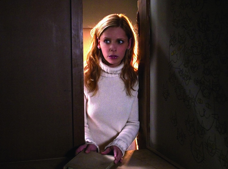 Sarah Michelle Gellar, The Grudge