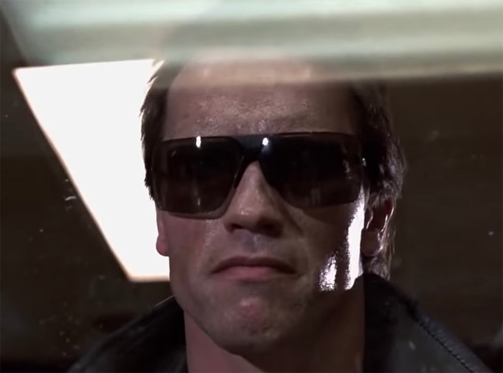 The Terminator, Arnold Schwarzenegger