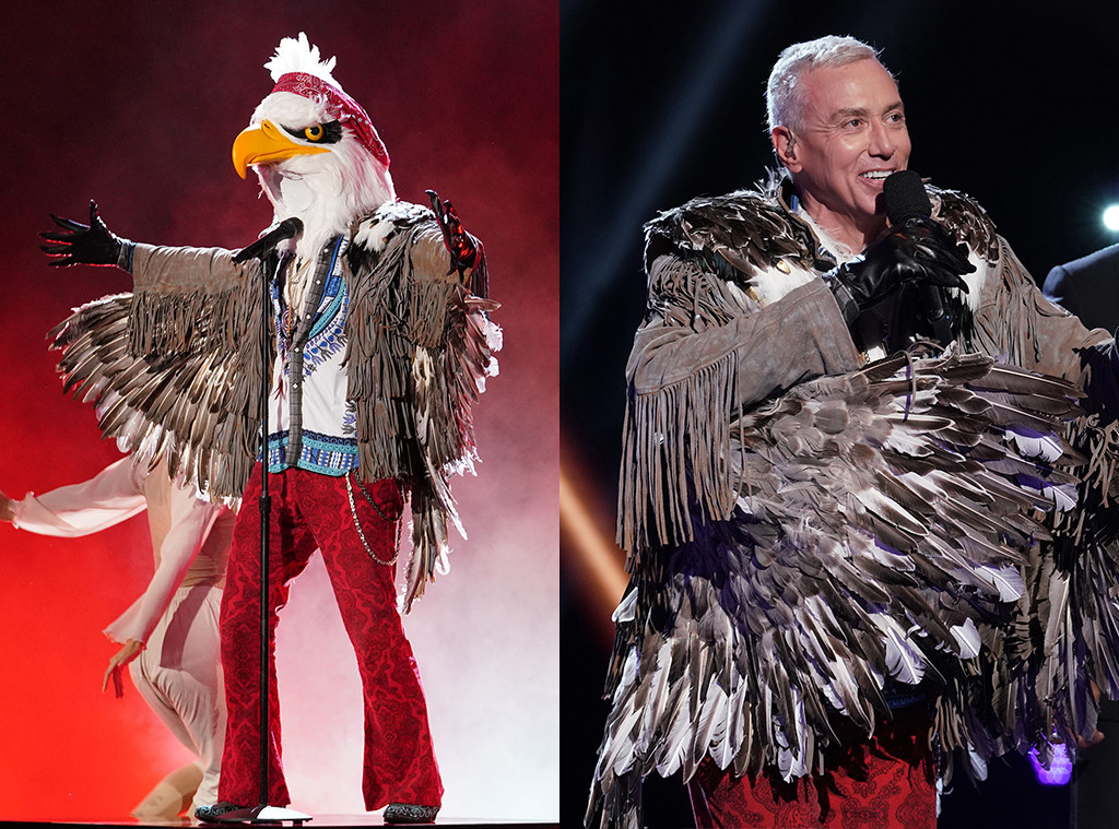 Our Best The Masked Singer Season 2 Guesses E Online