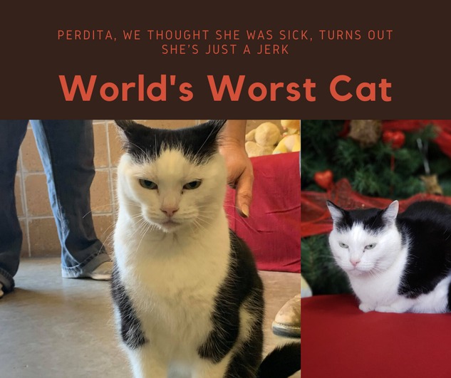 Perdita, World's Worst Cat