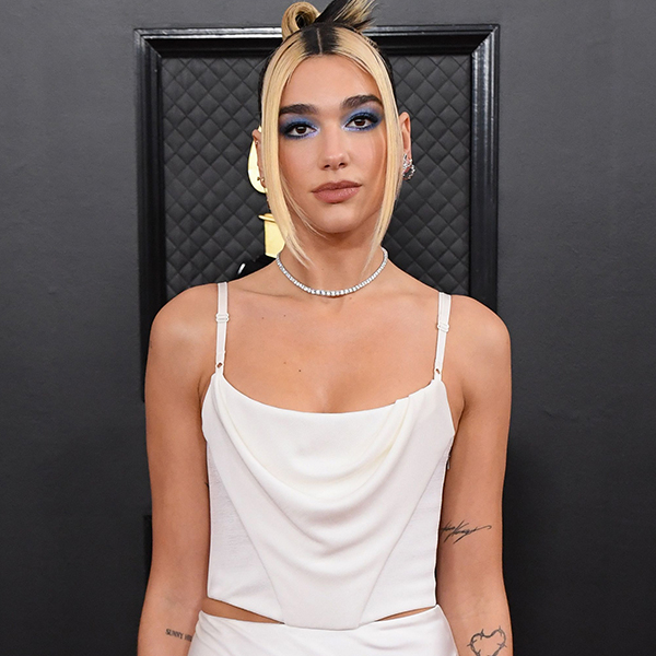 Dua Lipa fans defend singer after backlash over strip club visit, The  Independent