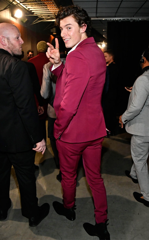 Shawn Mendes From Grammy Awards 2020 Candid Moments E News