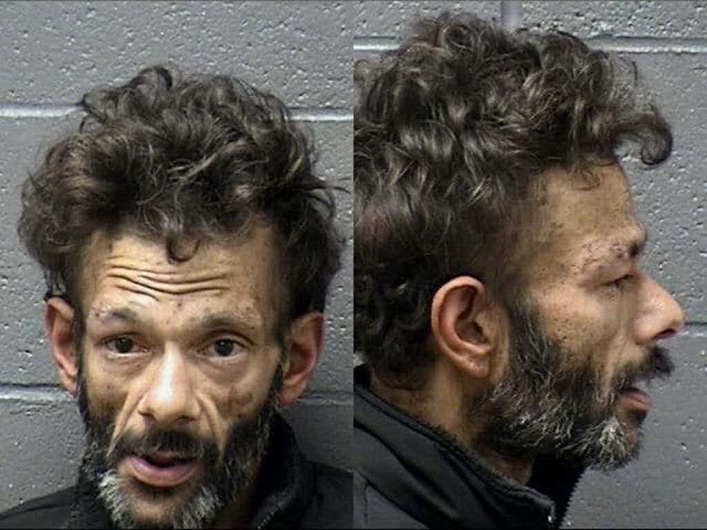 Shaun Weiss, Mug Shot, Booking Photo