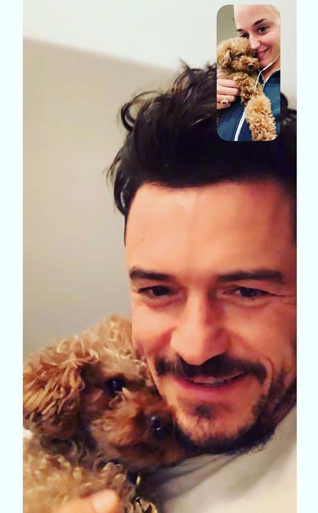 Katy Perry และ Orlando Bloom จัดการกับข้อโต้แย้งที่ "ร้อนแรงและรวดเร็ว" ได้อย่างไร