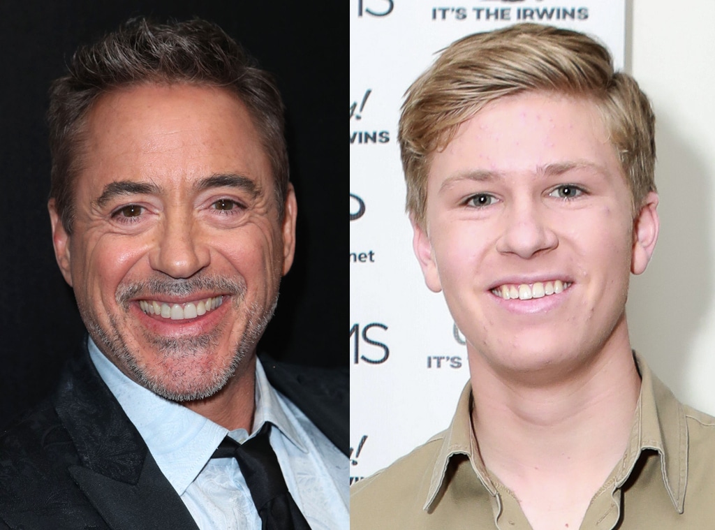 Robert Downey Jr., Robert Irwin