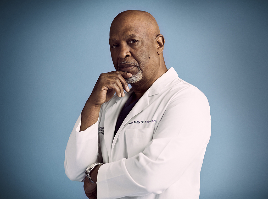 Grey?s Anatomy, James Pickens Jr.