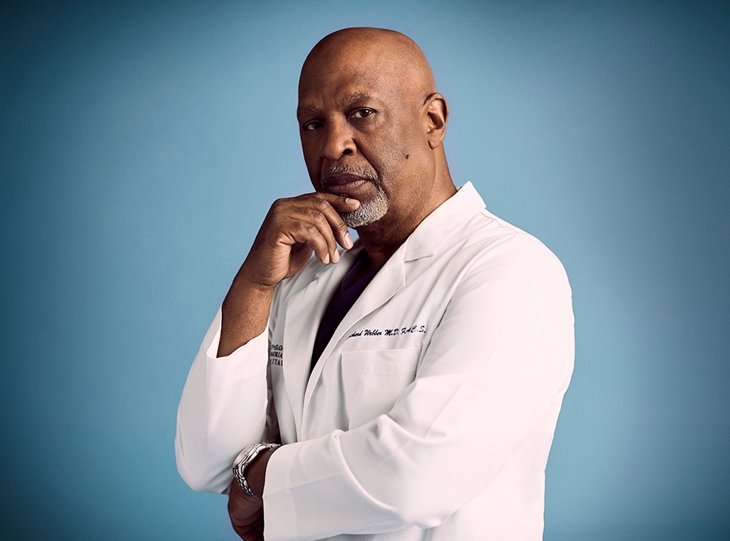 Grey?s Anatomy, James Pickens Jr.