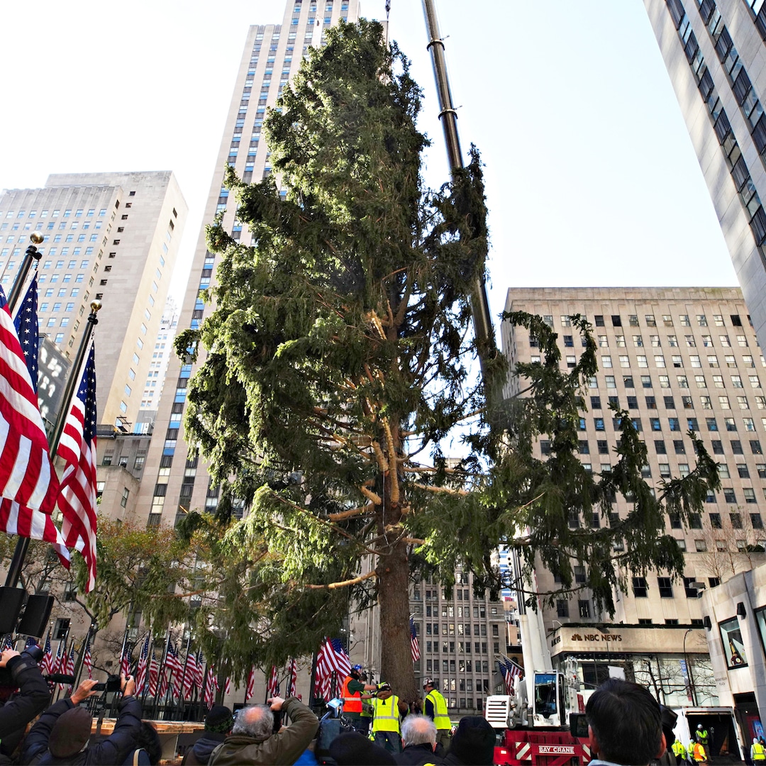 Rockefeller Center Just Saved 2020 With This Epic Clapback E Online Ca Rockefeller Center Just Saved 2020 With This Epic Clapback E Online Ca