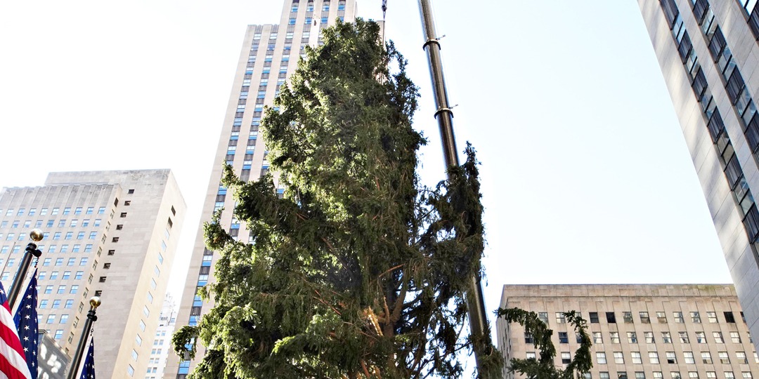 Rockefeller Center Just Saved 2020 With This Epic Clapback E Online Rockefeller Center Just Saved 2020 With This Epic Clapback E Online