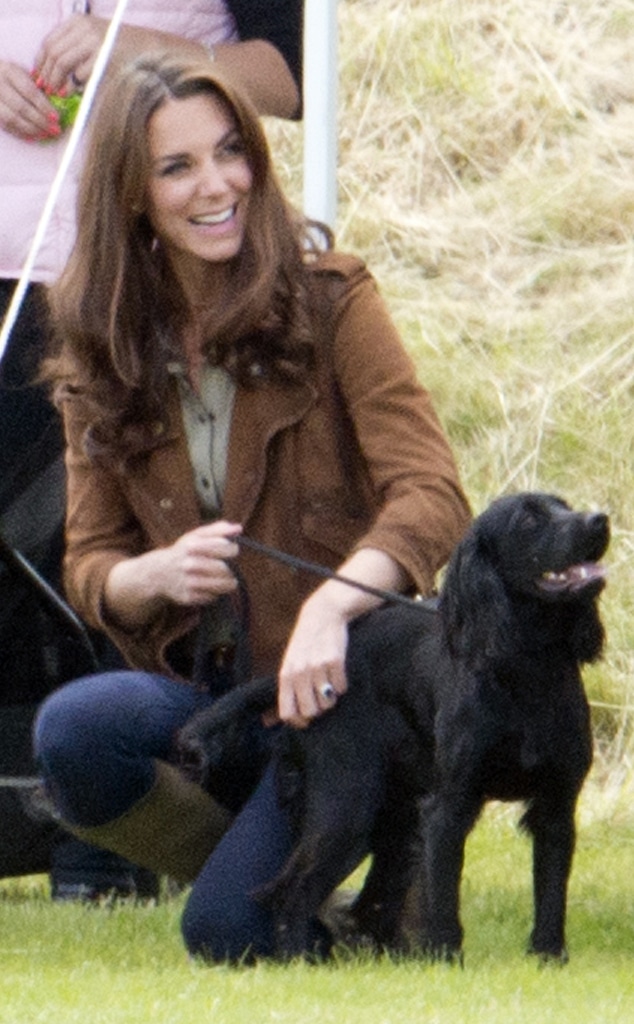 Lupo the Dog, Prince William, Kate Middleton