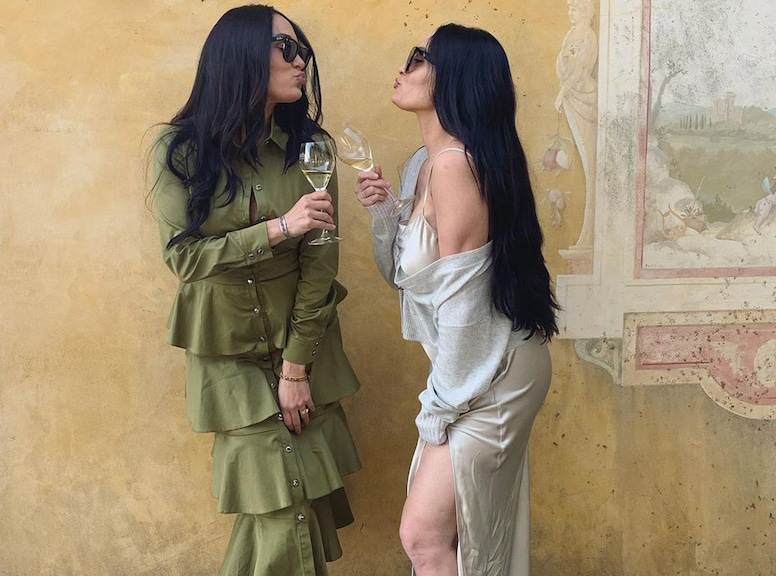 pix Nikki Bella New Hair nikki bella s biggest moments from 2020