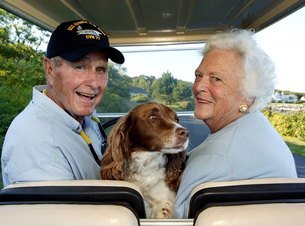 A History of Presidential Pets Who Lived in the White House