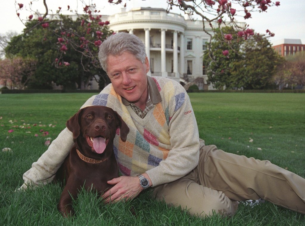 A History of Presidential Pets Who Lived in the White House