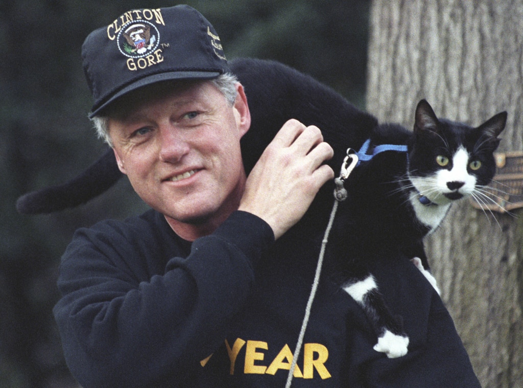 A History of Presidential Pets Who Lived in the White House