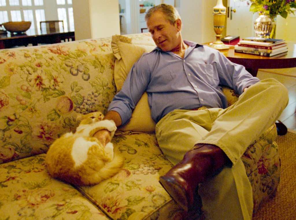 A History of Presidential Pets Who Lived in the White House