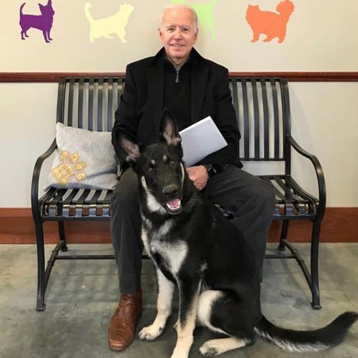 Joe Biden, Dog, Major, Delaware Humane Association, Biden Family