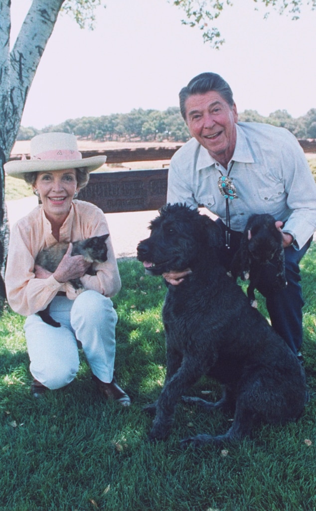 Uma história de animais de estimação presidenciais que viviam na Casa Branca