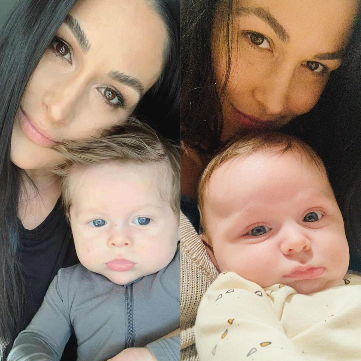 Brie & Nikki Bella Reveal Buddy and Matteo's First Milestones & More