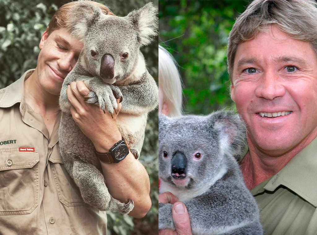 Steve Irwin, Robert Irwin, Koala