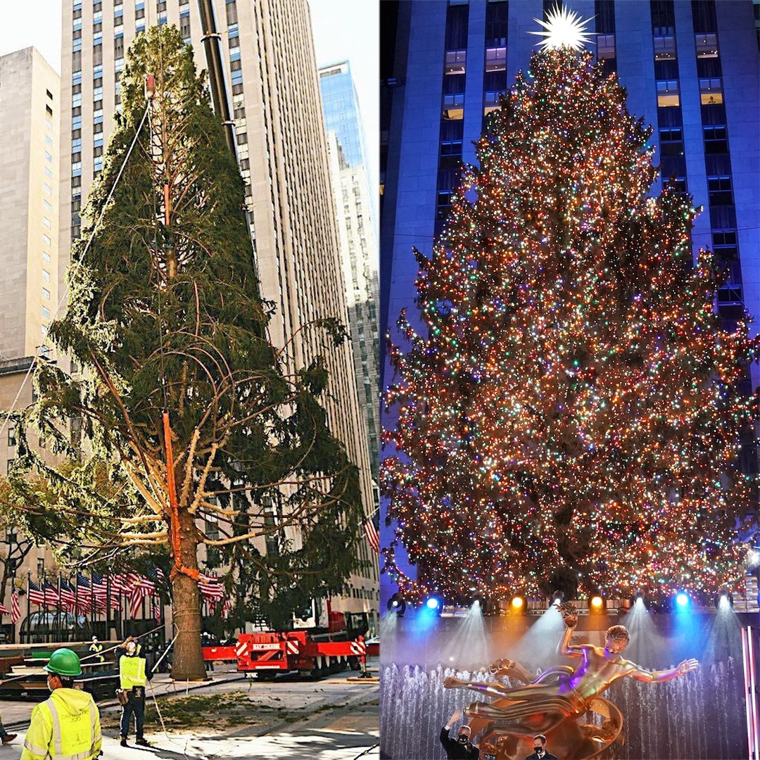 Christmas in vietnam Rockefeller Christmas Tree Finally Gets the Glow Up It Deserves - E