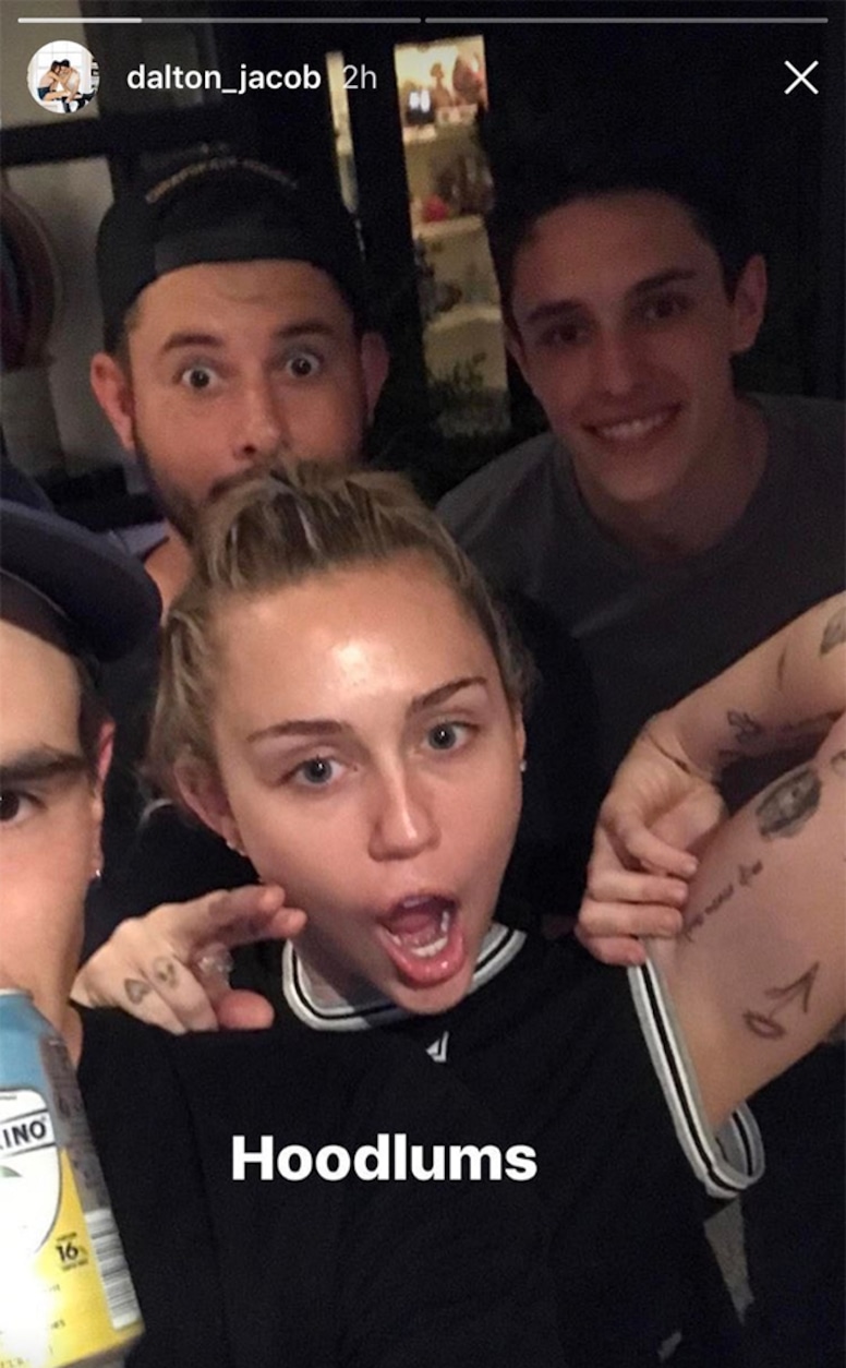 Dalton Gomez, Miley Cyrus, Instagram