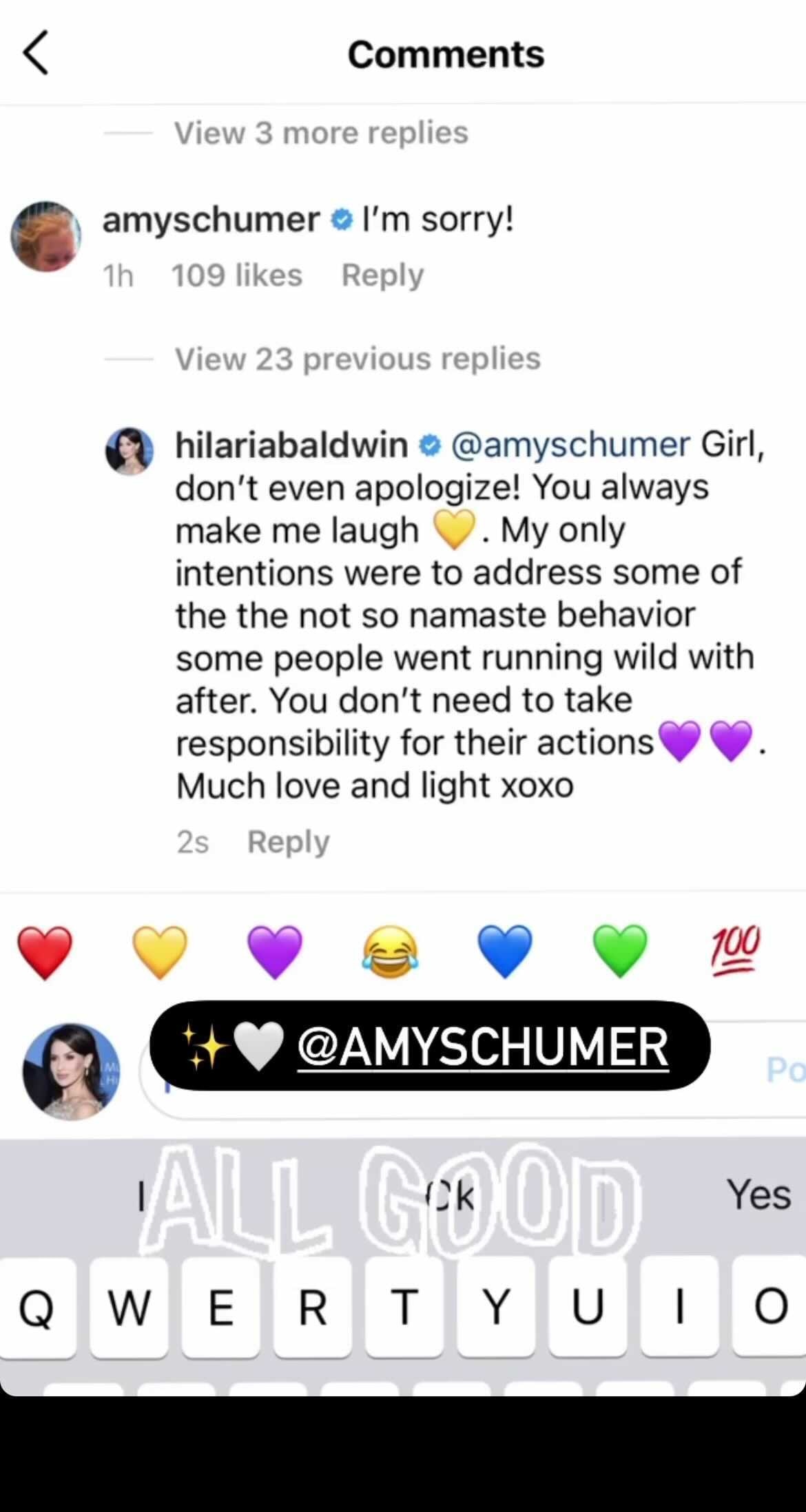 Amy Schumer Apologizes To Hilaria Baldwin And Deletes Underwear Photo E Online