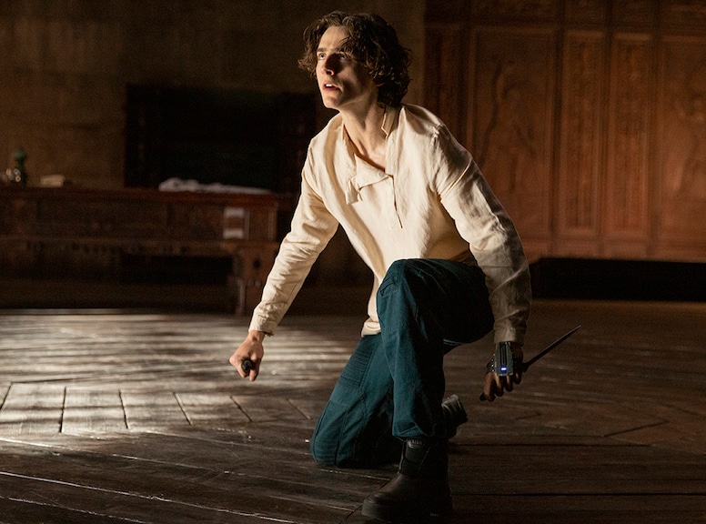 Timothee Chalamet, DUNE