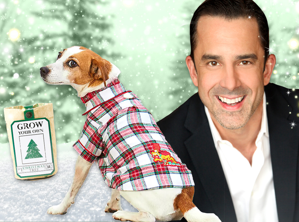 Mr.Christmas' Gift Guide Will Transform Your Holiday Season E! Online