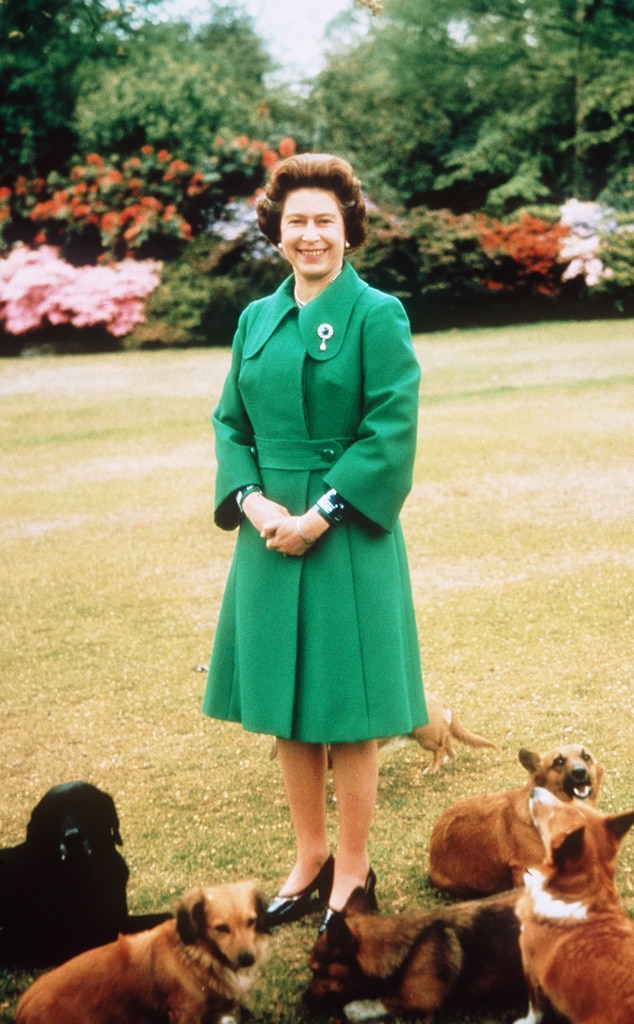 Sarah Ferguson แบ่งปันข้อความอันแสนหวานเพื่อเป็นเกียรติแก่สุนัข Corgis ของ Queen Elizabeth II