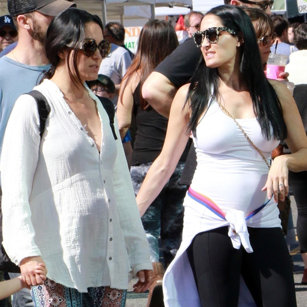 Nikki Bella, Brie Bella