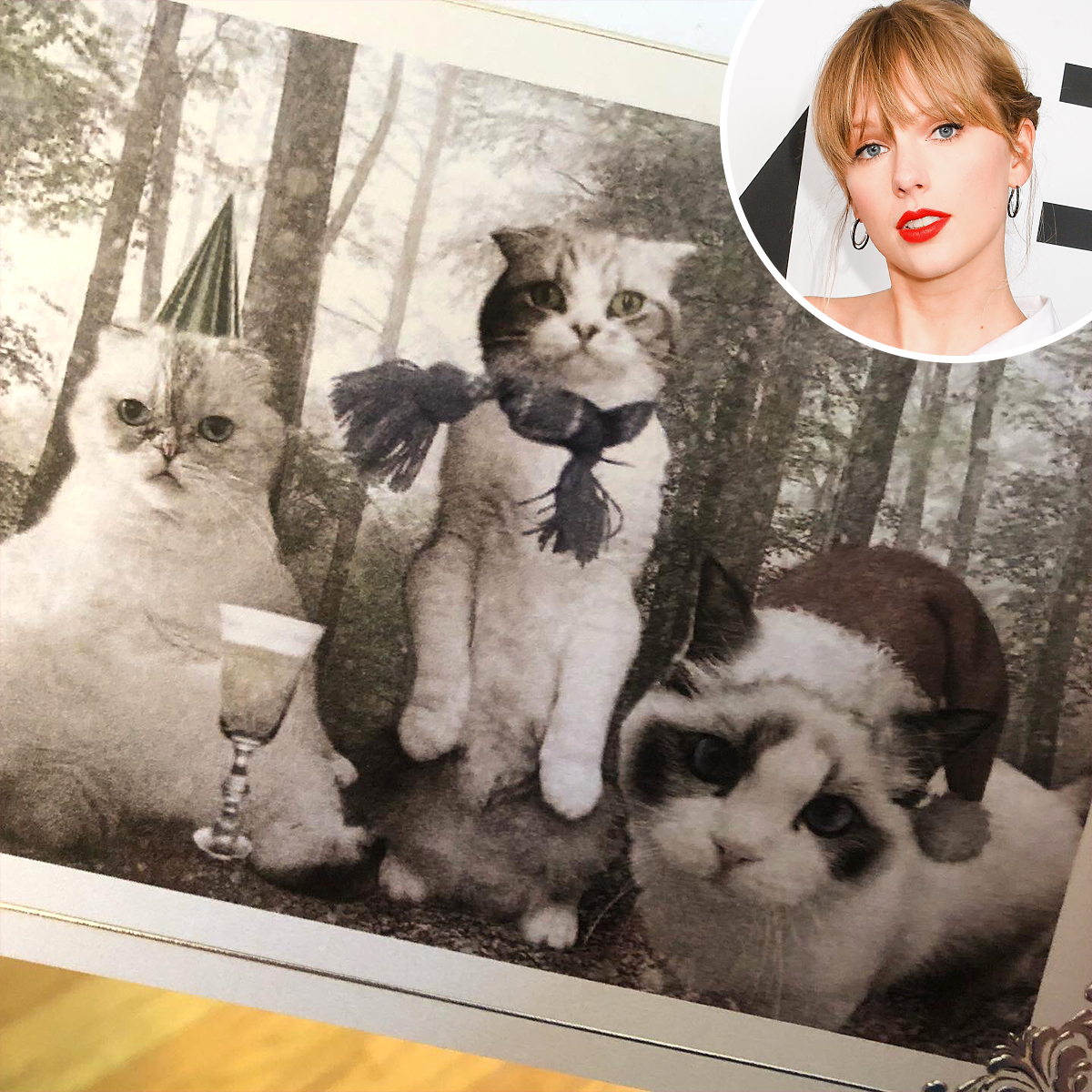 Taylor Swift unveils 'Folklore' and cat-based Christmas card